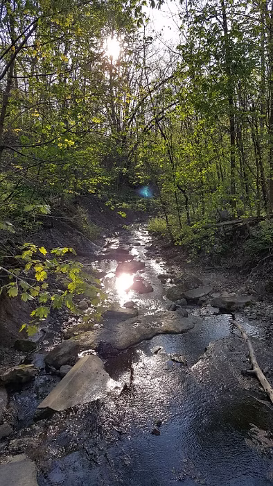 20160423_190045.jpg